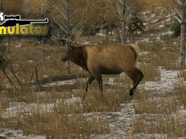 Elk Simulator