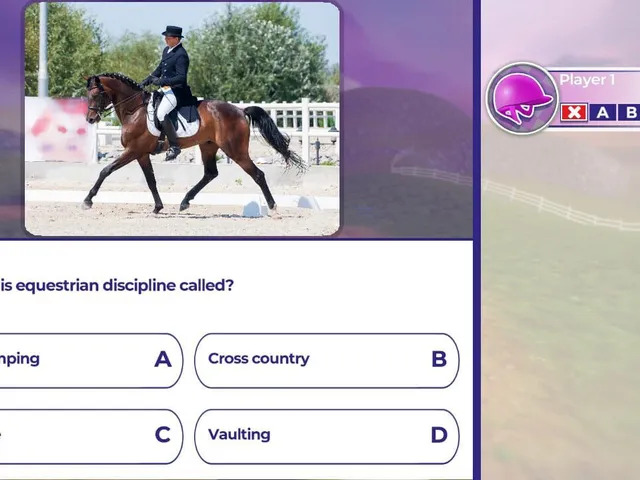 Equestrian Training