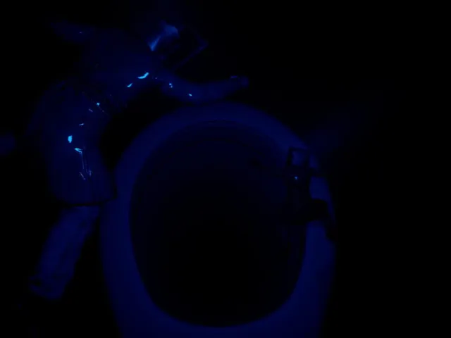 Escape from Toilets