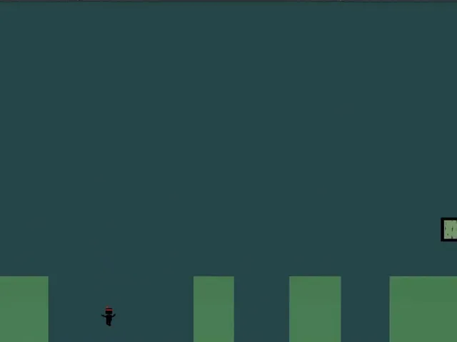Eternal Ninja
