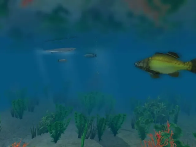 European Fishing