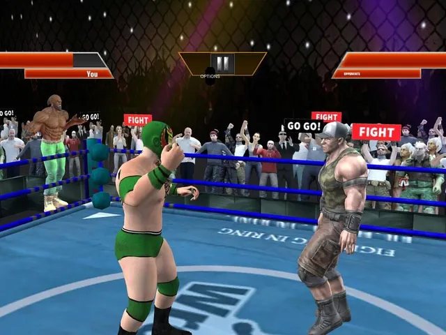 Extreme Wrestling