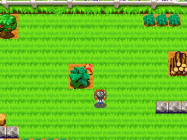 Fantastic Farm