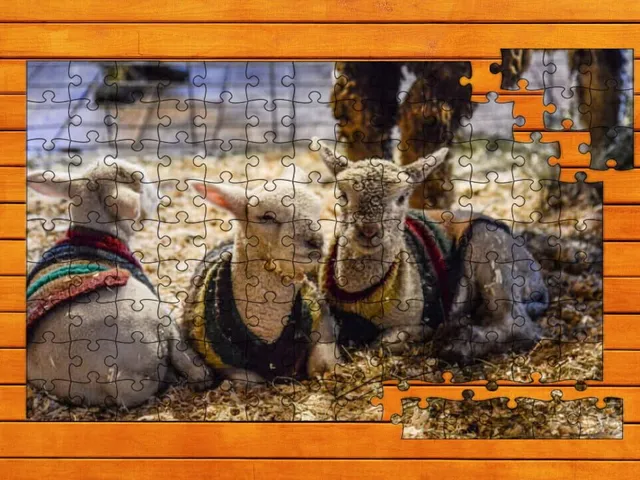Farmyard Pals Jigsaw Puzzles