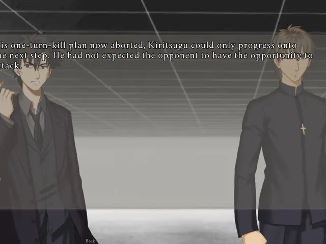 Fate/Zero the Visual Novel