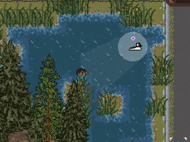 Feather Trail