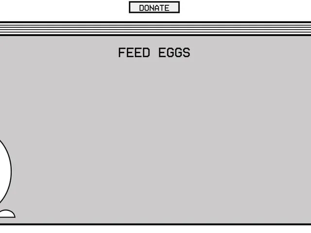 Feed Eggs