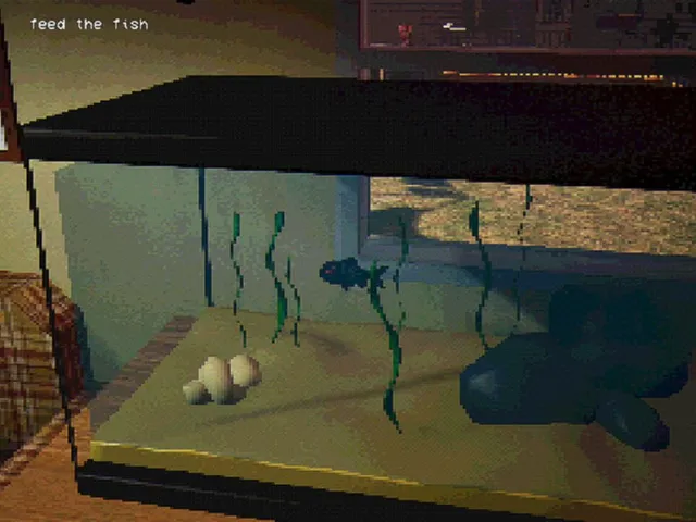 Feed the fish