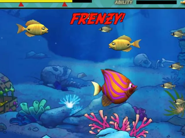 Feeding Frenzy
