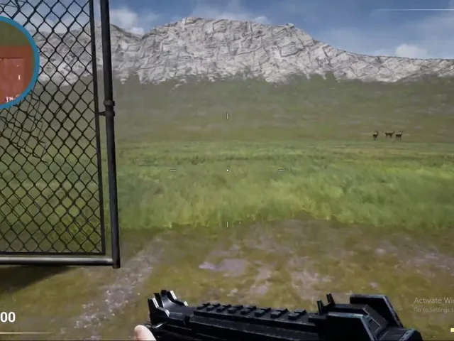 Fight For Freedom