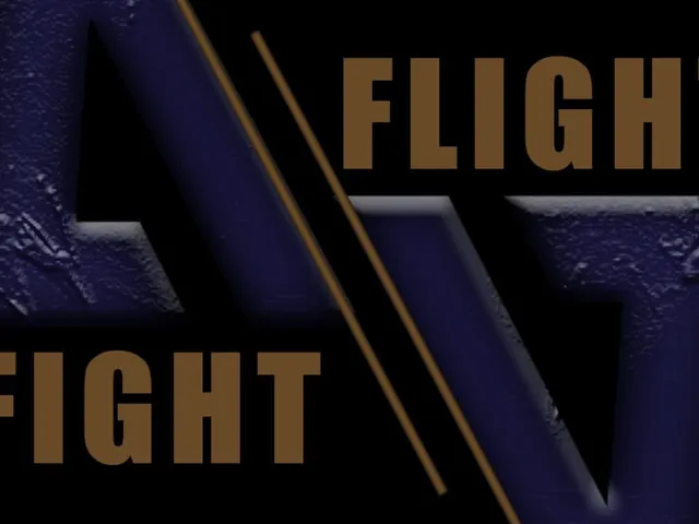 Fight // Flight