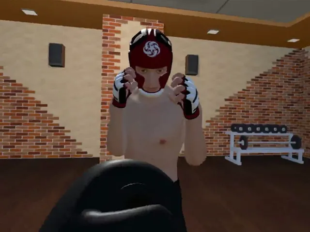 Fight Sparring VR
