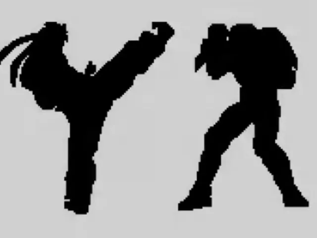 Fighter's History 2