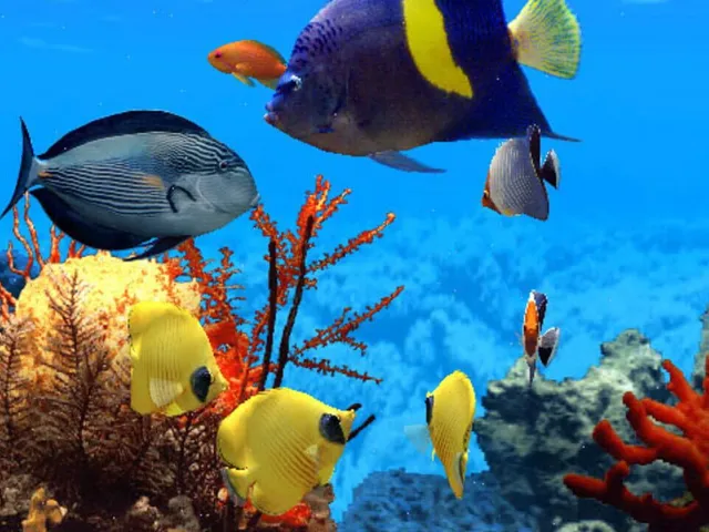 Fish Life