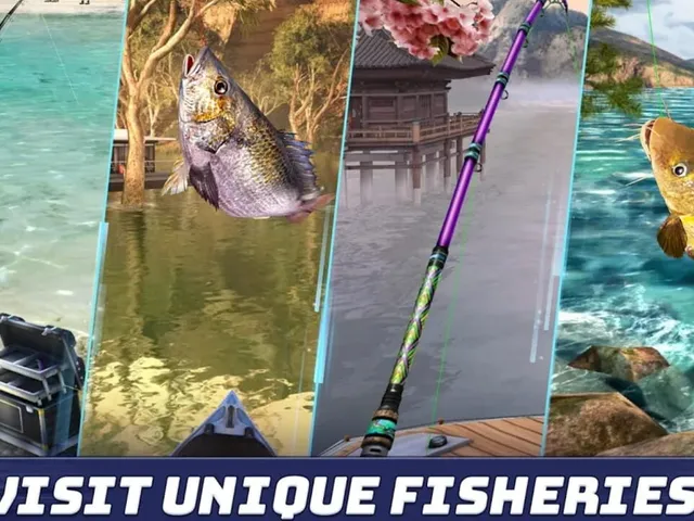 Fishing Clash 2020: Fish Catching Games
