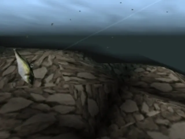 Fishing Freaks: Bass Rise Plus