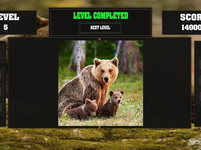 Fitzzle Mighty Bears