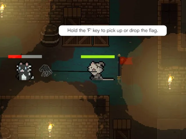 Flagdashers