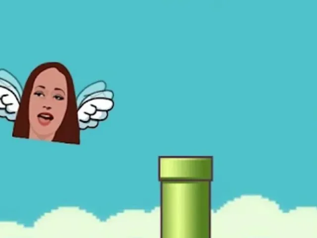 Flappy Outside