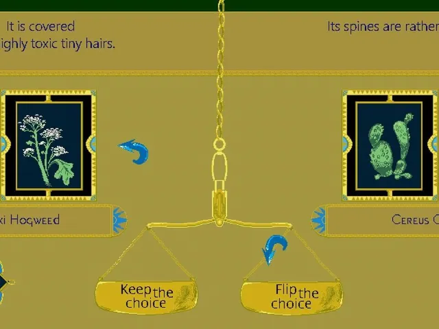 Flip the Choice