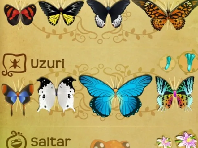 Flutter: Butterfly Sanctuary