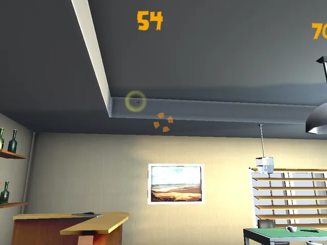 Fly in the House