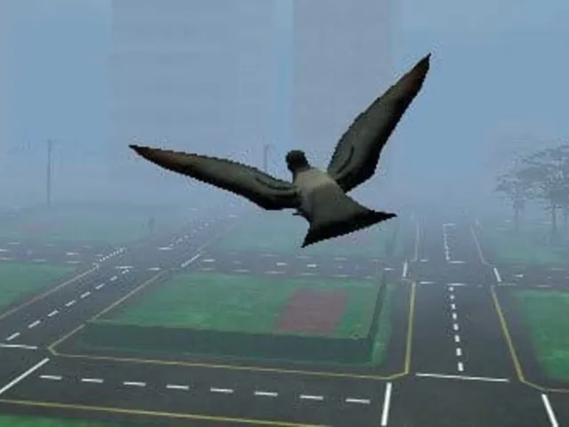Fly Like a Bird 3