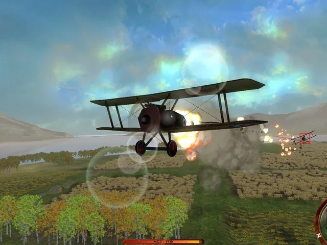 Flying Baron 1916
