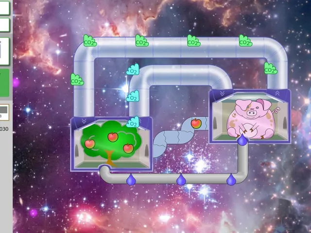 Food Chain Farm