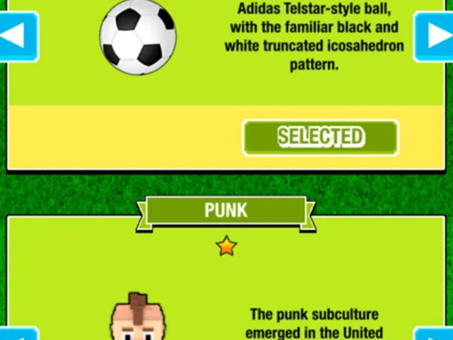 Football Fan: Run Team Run!