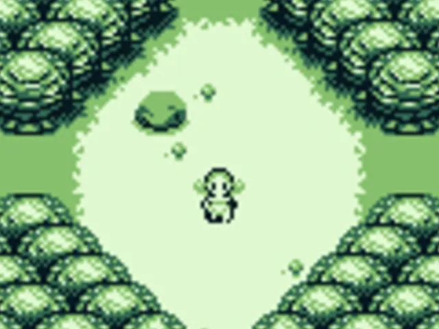 Forest