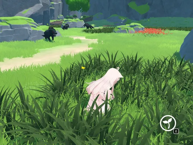 Forest Adventure