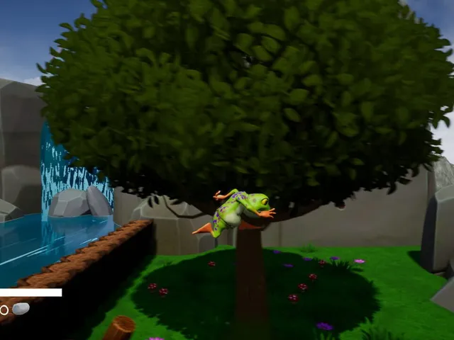 Forest Adventure