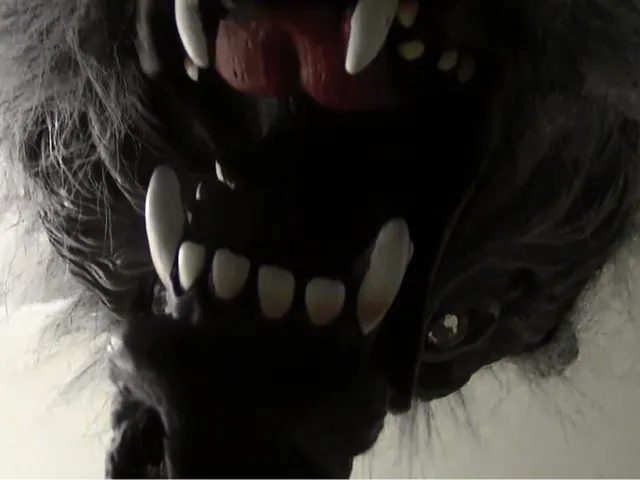 Fright Light