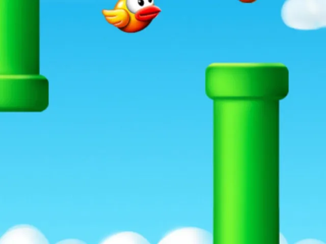 Funny Bird