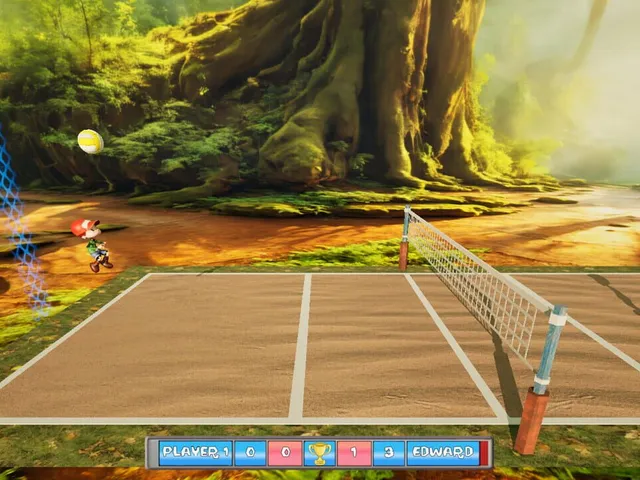 Funny Volleyball