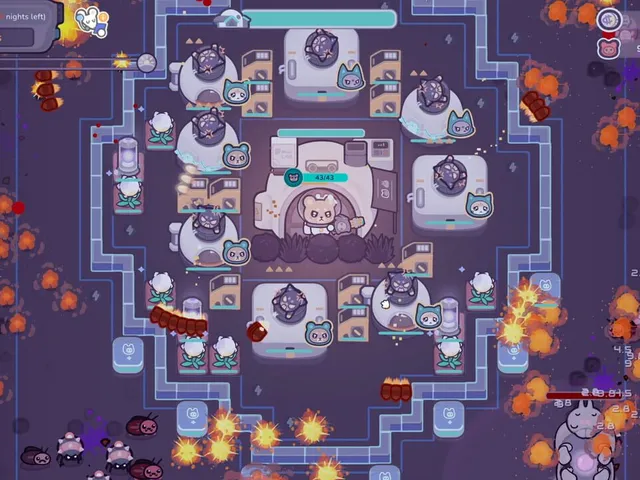 Galaxy Critter Co.