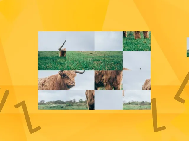 Game of Puzzles: Animals