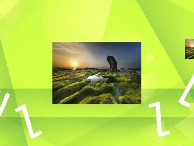 Game of Puzzles: Nature