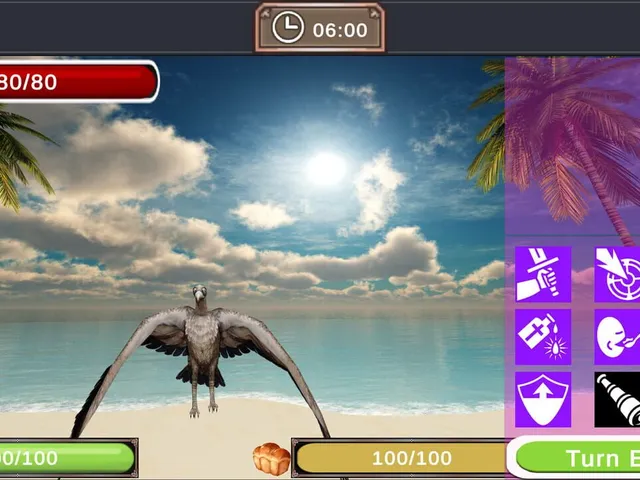 Girl X Island