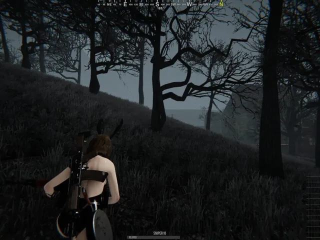 Girls Battlegrounds