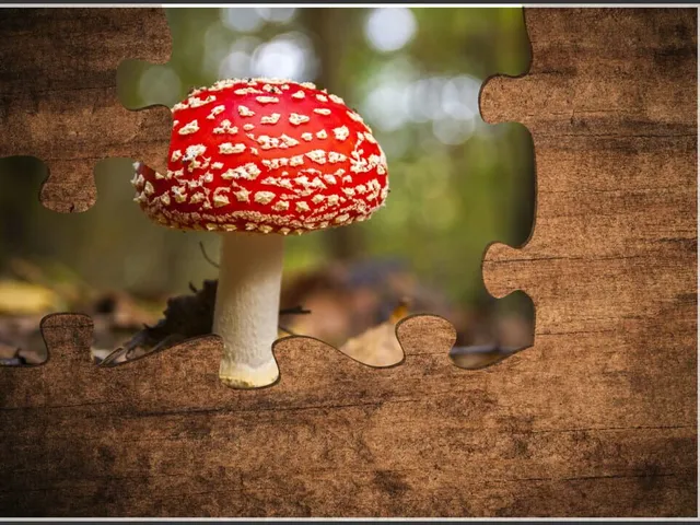 Gnome: Jigsaw Puzzles