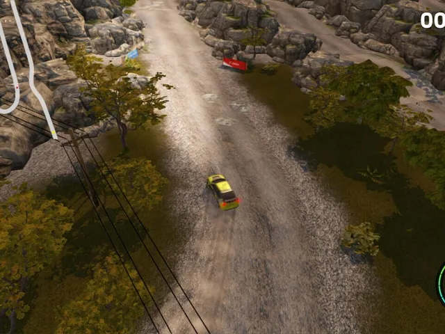 Go Rally