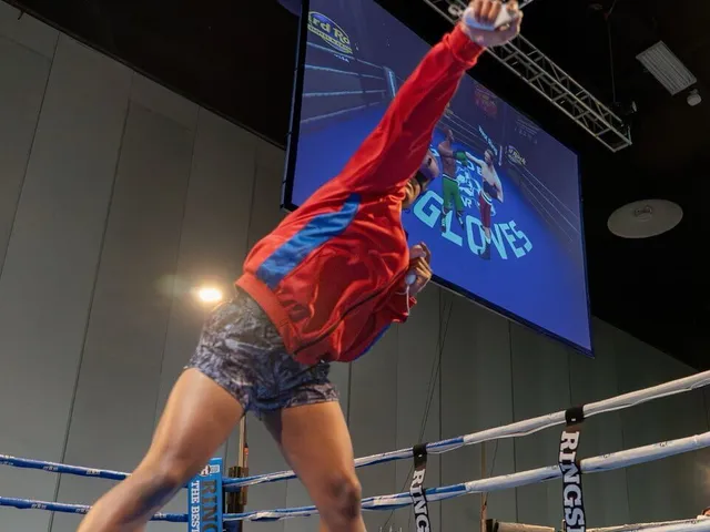 Golden Gloves VR
