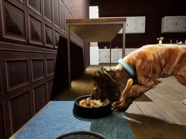 Good Boy The Long Night