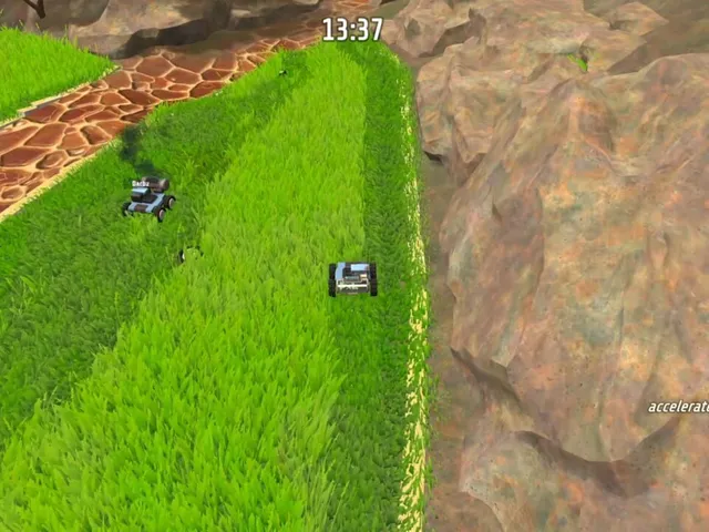 Grass