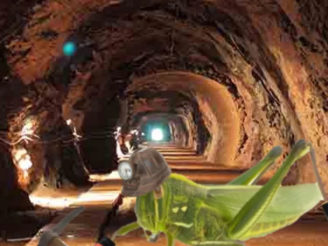 Grasshopper Farm