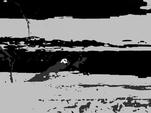 Gray Desert