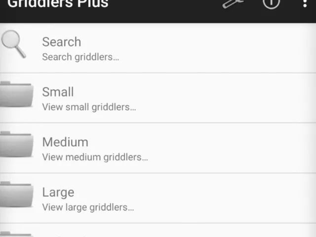 Griddlers Plus