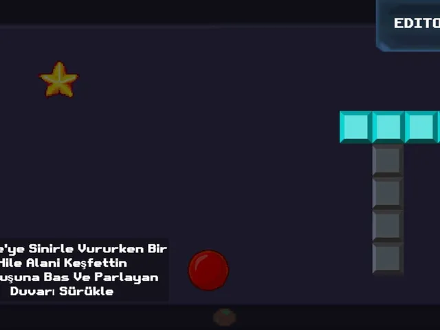 Hacker Ball